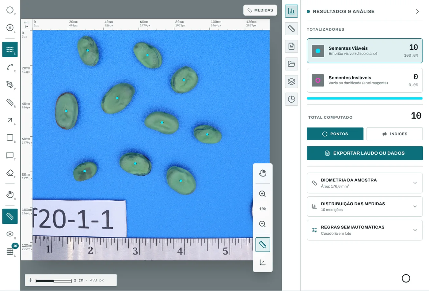 SeedCounter screen with a real photo of ten faba bean seeds on a blue background, each outlined after one click, an inch ruler at the bottom and the results panel showing 10 seeds.