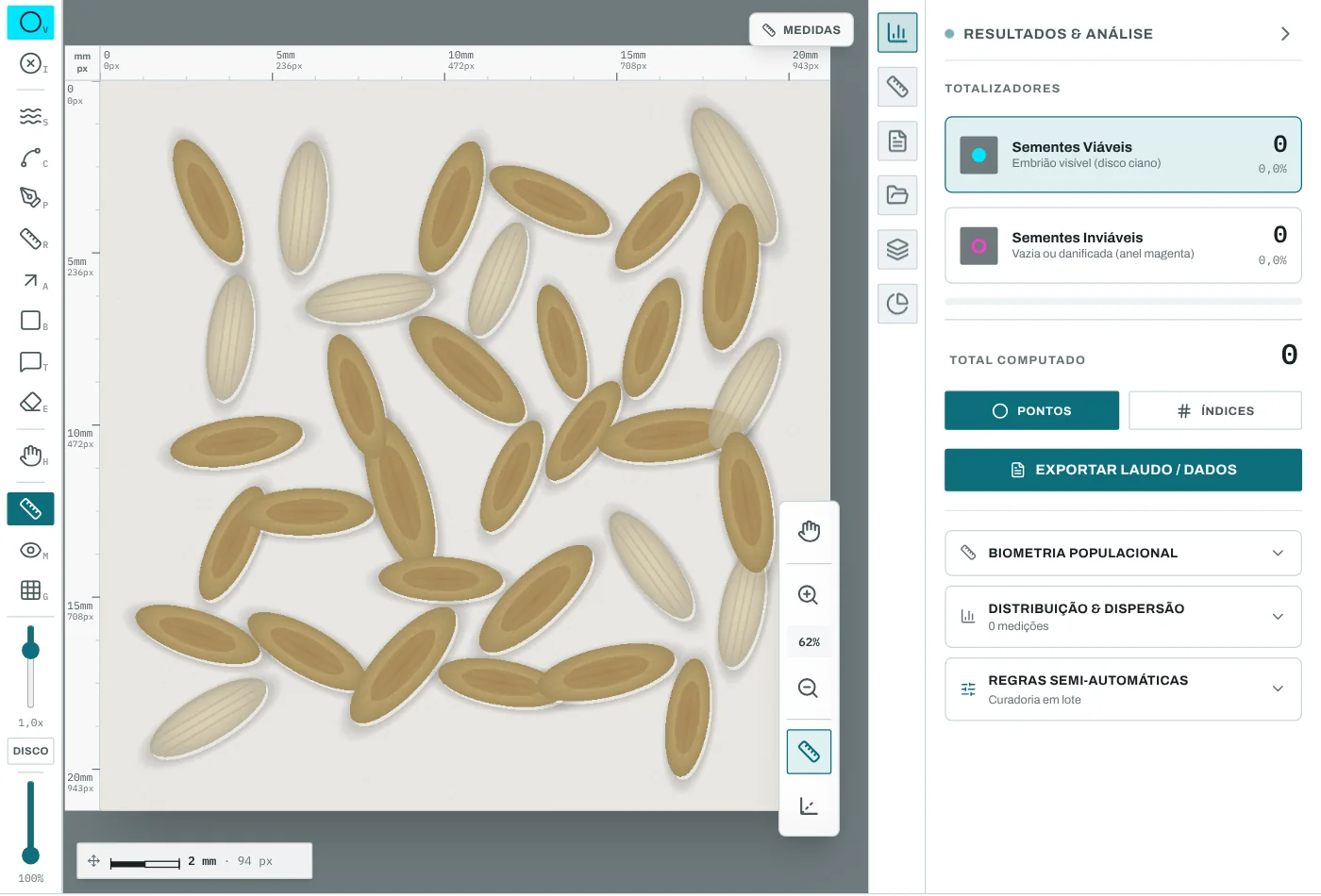 Tela do SeedCounter com espiguetas sintéticas de forrageira, umas cheias e outras vazias.