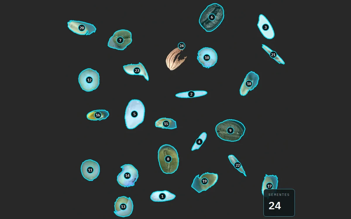 Dark sheet with 24 seeds of rice, corn, coffee and other crops, each outlined in cyan and numbered, with the total of 24 in the corner.