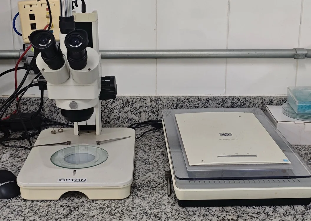 A bancada de captura do GPEOrq: estereomicroscópio com câmera e, ao lado, um scanner de mesa.