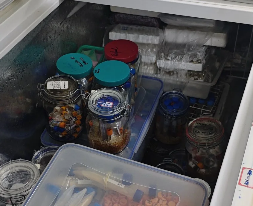 Freezer aberto com potes e tubos de sementes etiquetados.