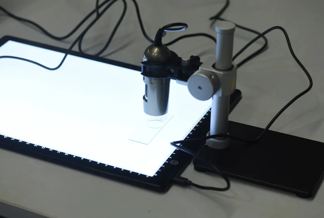 No Kew, um microscópio USB num suporte, apontado para uma lâmina de vidro sobre uma caixa de luz.