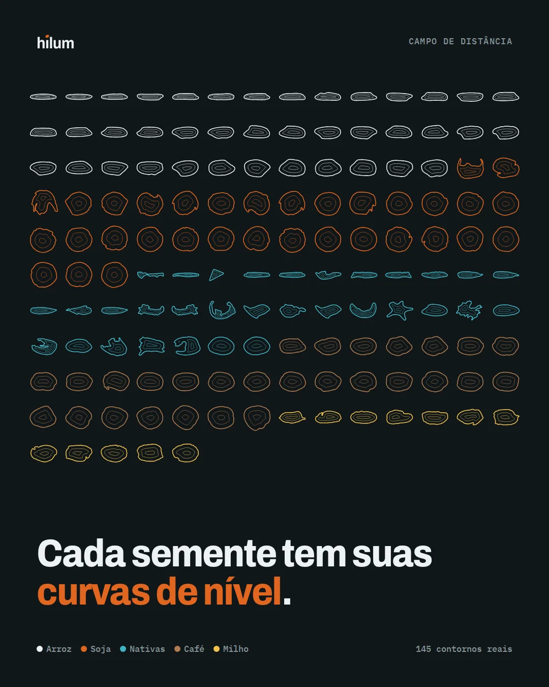 Curvas de nível laranja formadas pela sobreposição de 145 contornos de sementes.