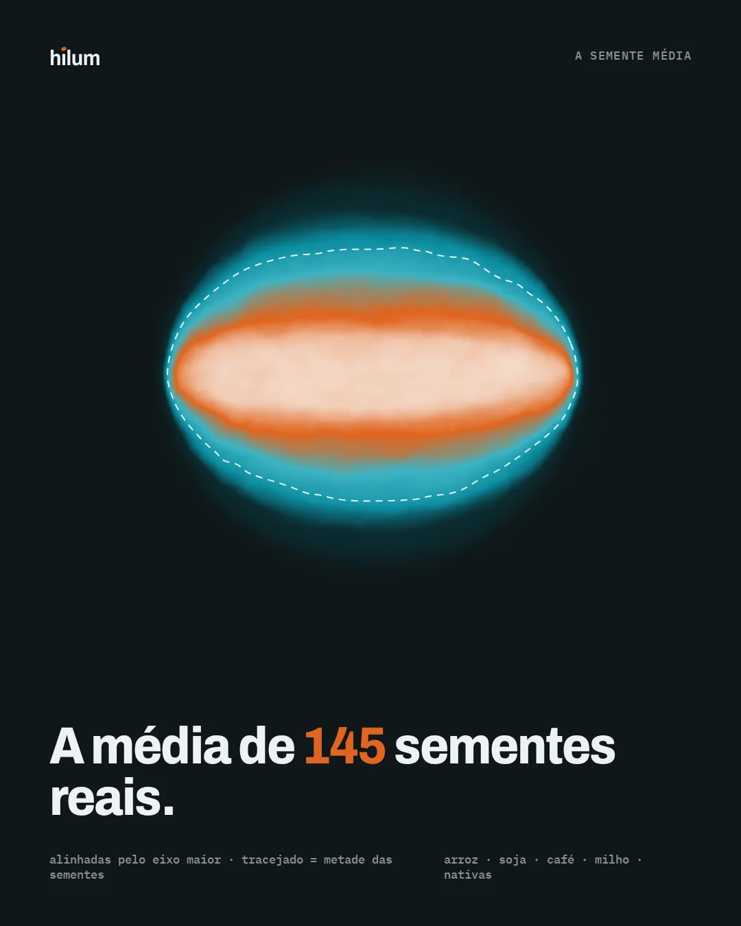 Mapa de calor da semente média de 145 sementes.