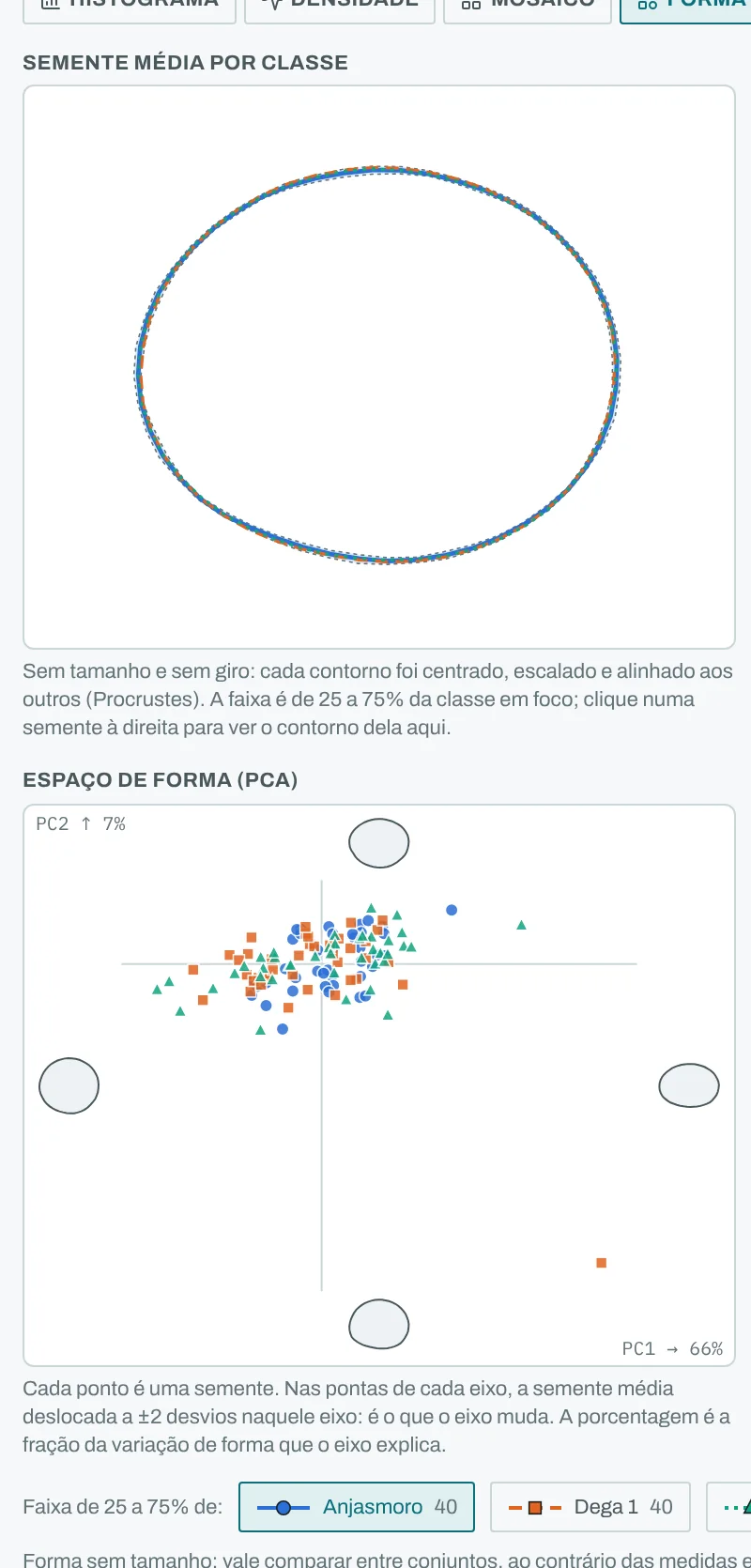 Vista Forma do hub de datasets do SeedCounter 4.0 com 120 sementes de três cultivares de soja: em cima, as três sementes médias sobrepostas, quase a mesma elipse; embaixo, o espaço de forma com um ponto por semente e o primeiro modo explicando 66% da variação.